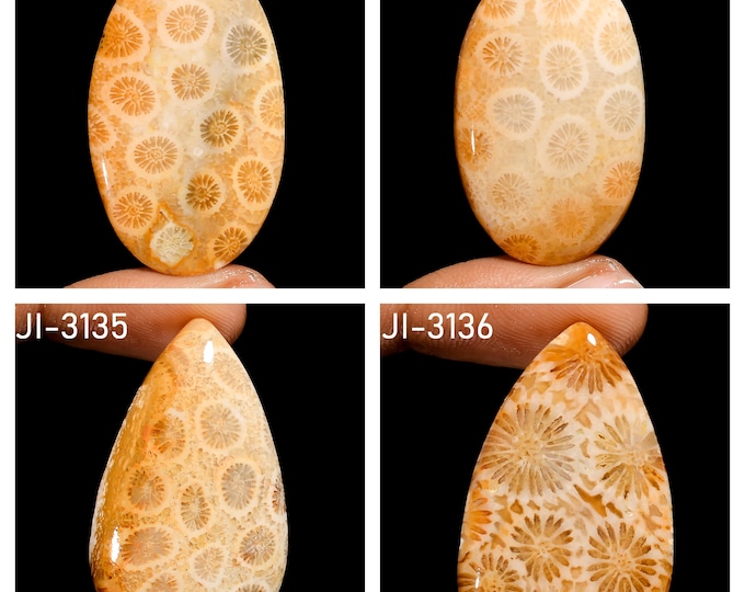 Natural Fossil Coral Fancy Shape Un-Drilled Smooth Cabochon Single Pieces, Semi-Precious Gemstones For Jewelry Making