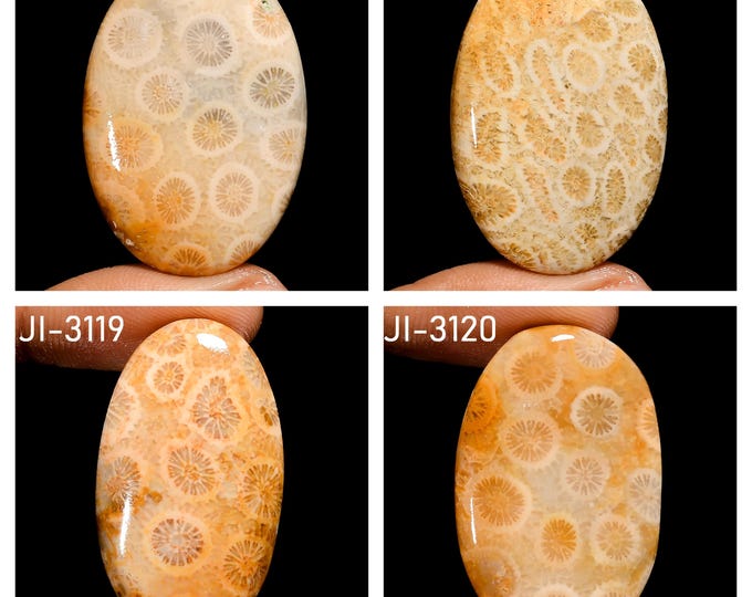Natural Fossil Coral Fancy Shape Un-Drilled Smooth Cabochon Single Pieces, Semi-Precious Gemstones For Jewelry Making