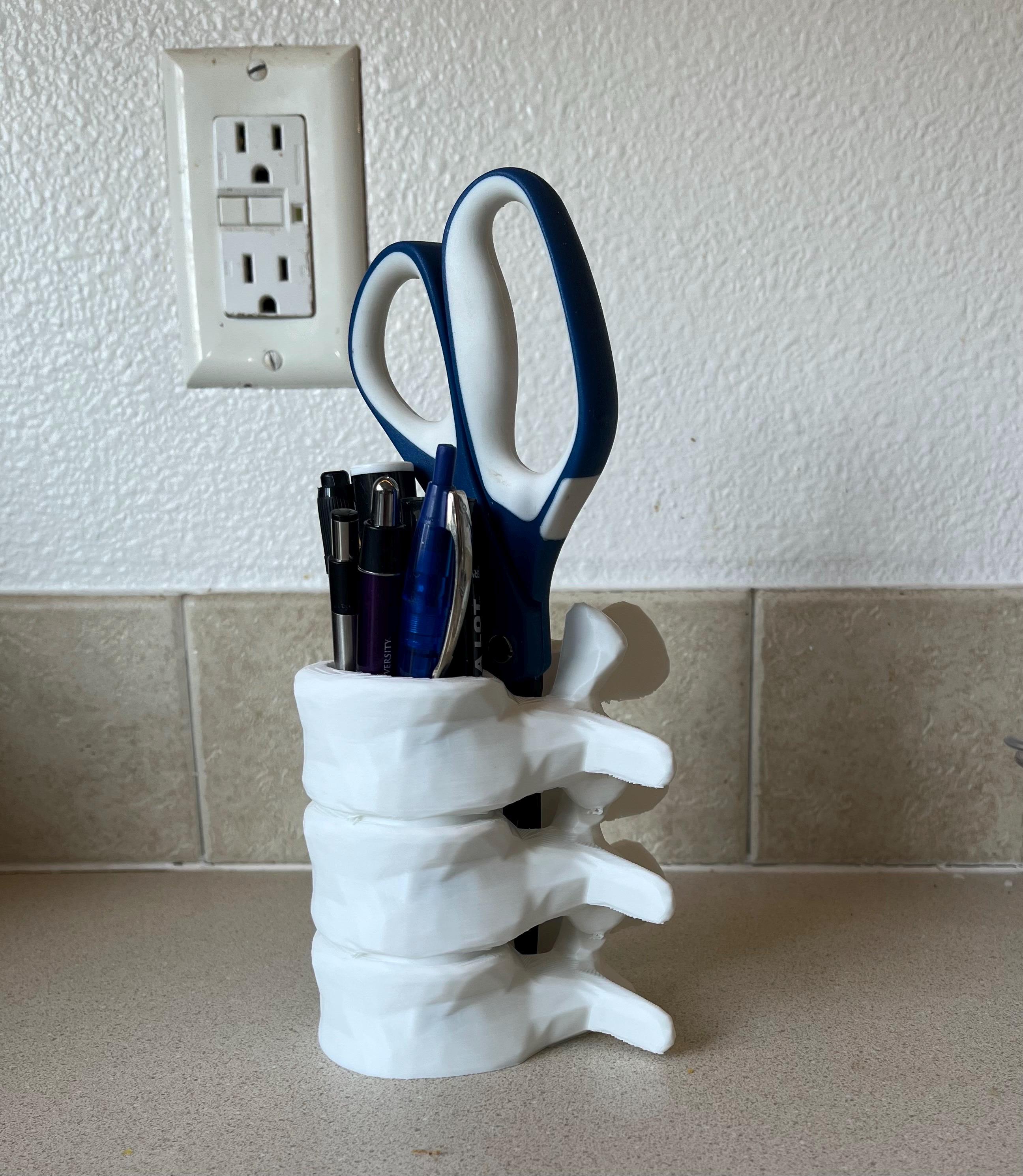 Spine Business Card & Pen Holder – Chiropractic Office Desk Decor, Rehab/Ortho Gift