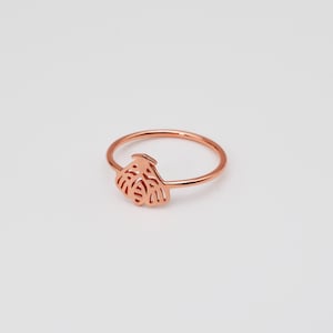 Motte Ring, Witchy Ring, Schmuck Insekt Schmuck, Einzigartiger Ring mit Motte, Dark Academia Geschenk, Halloween Ring, Geschenk für Jungen, Mädchen, 1040