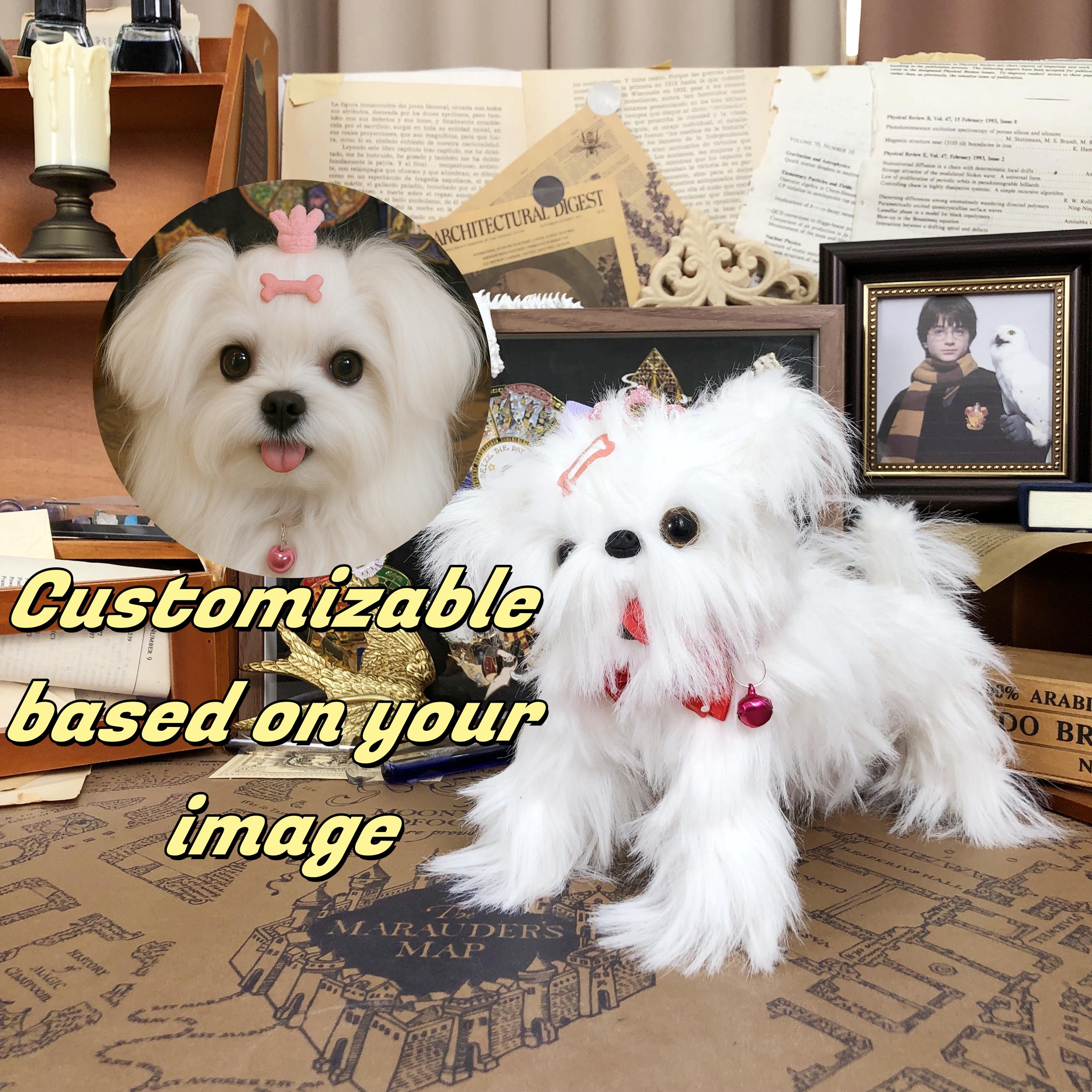 Teddy Bear Cut Yorkie Bichon Haircuts Teddy Bear Cut Small Dog