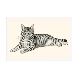 May include: A black and white illustration of a tabby cat lying down. The cat has striped markings and is resting on a cream-colored background. The artwork is framed with a white border.