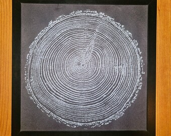 Framed Tree Ring Art