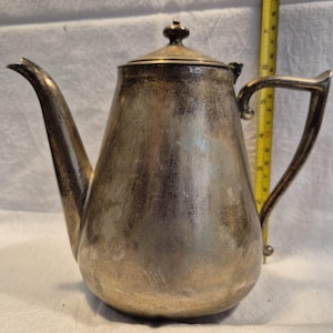May include: A silver teapot with a rounded body and a curved handle. The teapot has a lid with a knob on top.