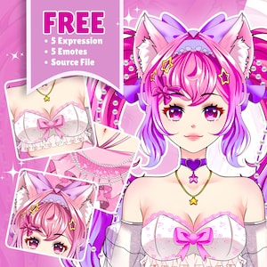 Custom Vtuber Model, Live2D Vtuber Rigging, Vtuber Commission, Twitch Vtuber, Vtuber Character Design, Custom Avatar Art