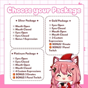 Package comparison chart for custom PNGTuber commissions, detailing Silver, Gold, and Platinum tiers including mouth open/closed states, eyes open/closed states, number of custom expressions, and bonus emotes included. This pricing guide helps streamers choose the right package based on budget and desired avatar features.