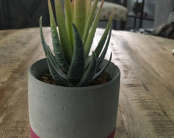 Round Concrete Pot Vessel w Fake Succulent Pink Stripe,  Plant Desk Decor, Modern Contemporary Decor, Fake House Plant