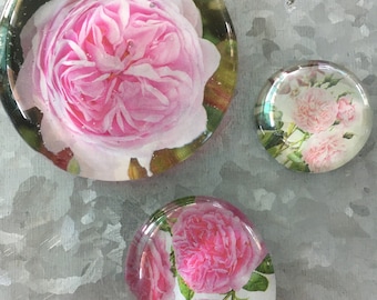 Pink Roses Fill the Garden Set of Three Glass Gem Magnets - magnet  - kitchen decor - refrigerator art - pink flowers
