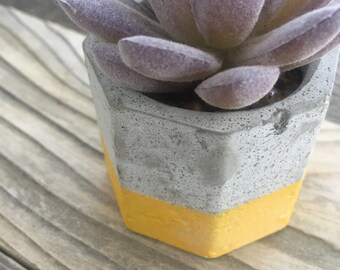 Hexagonal Concrete Vessel with Plastic Succulent Desk Decor, Modern Contemporary Decor, Small Concrete Decor, Yellow 2