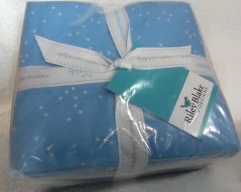 Blue Half Yard Bundle-10