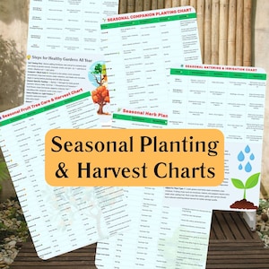 以下が含まれることがあります： 「Seasonal Planting & Harvest Charts」や「Seasonal Soil & Fertilizer Amendment」などのタイトルが付いた、ガーデニングチャートのコレクション。チャートは白地に緑とオレンジのアクセントで印刷されています。画像には「Download Now」と「Print Instantly」の文字が含まれています。