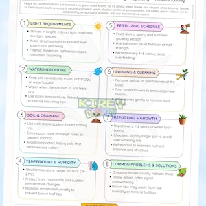 Può includere: Una guida alla cura della Spathiphyllum, con sezioni su luce, acqua, terreno, umidità, alimentazione, potatura, rinvaso e risoluzione dei problemi. La guida include illustrazioni e testo con consigli.