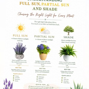 Understanding Full Sun, Partial Sun & Shade Printable | Plant Light Requirements Guide | Gardening Infographic | JPG PDF PNG
