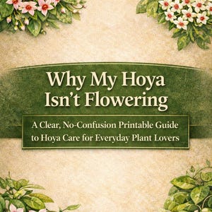 Perché la mia Hoya non fiorisce - Una guida stampabile chiara e senza confusione alla coltivazione e alla cura della Hoya per gli amanti delle piante di tutti i giorni - GRAFICI + PDF