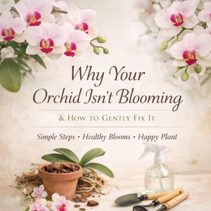 Dlaczego Twoja orchidea nie kwitnie – Poradnik pielęgnacji orchidei w formacie PDF do druku, Kwiaty orchidei dla początkujących, Pomoc w kwitnieniu Phalaenopsis, Roślina doniczkowa