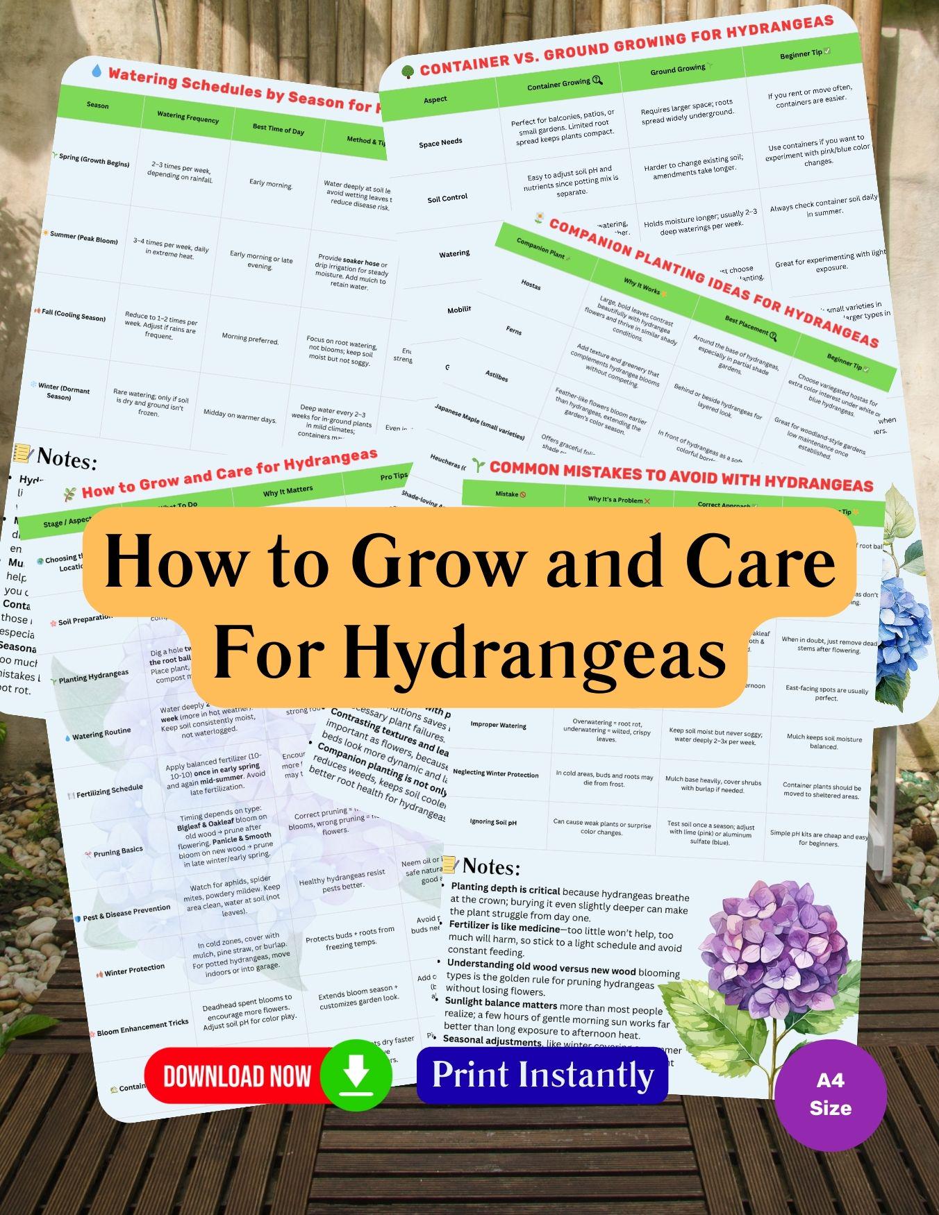 Printable Hydrangeas Plant Care Guide Chart – How to Grow and Care for ...