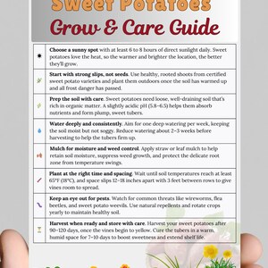 Printable Ultimate Potato Guide.pdf Sweet Potatoes Care Guide – How to Grow and Care for Sweet Potatoes ...