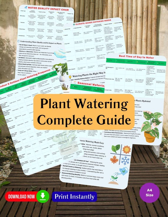hanging outdoor plant 24