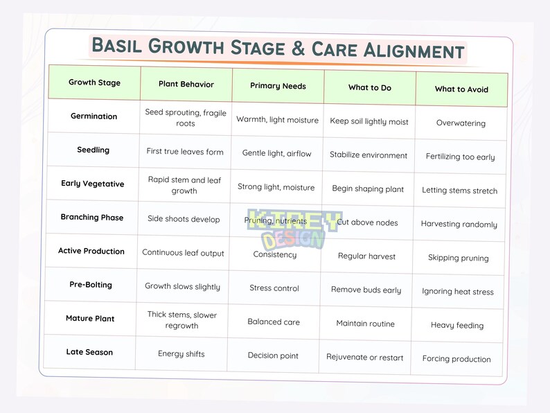 Basil Care Guide Cheat Sheet | How to Grow Basil That Keeps Producing ...