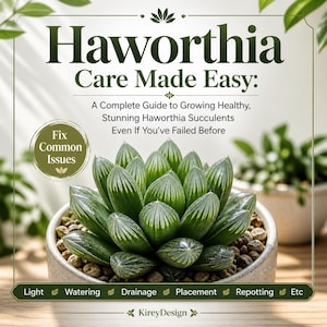 May include: A Haworthia succulent in a ceramic pot, with the text "Haworthia Care Made Easy" and "Fix Common Issues". The image also includes the words "Light", "Watering", "Drainage", "Placement", "Repotting", and "Etc".