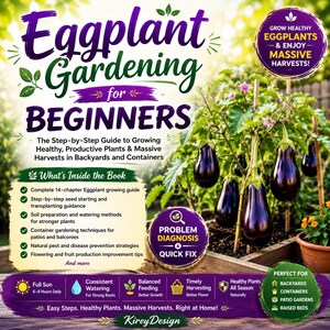May include: A book cover titled "Eggplant Gardening for Beginners" with text and images of eggplants. The cover includes information on growing healthy plants and massive harvests in backyards and containers. The book also includes tips on soil preparation and watering methods.