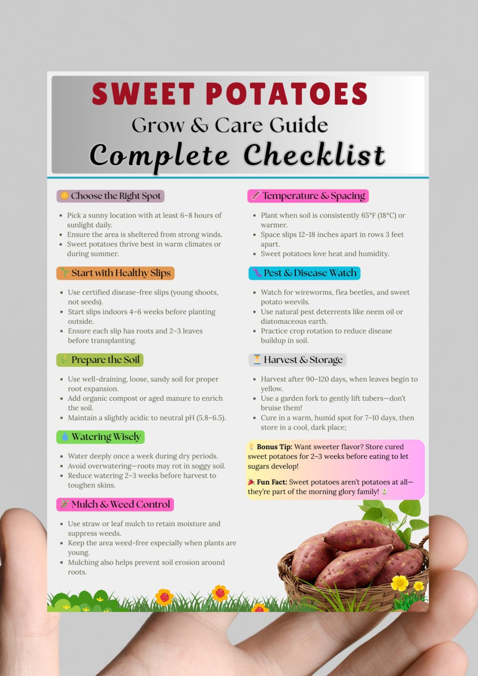 Printable Ultimate Potato Guide.pdf Sweet Potatoes Care Guide – How to Grow and Care for Sweet Potatoes ...