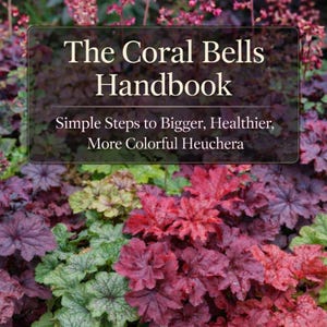 May include: The image showcases a vibrant display of Heuchera plants, with a variety of leaf colors including deep reds, purples, and greens. The text on the image reads "The Coral Bells Handbook" and "Simple Steps to Bigger, Healthier, More Colorful Heuchera."