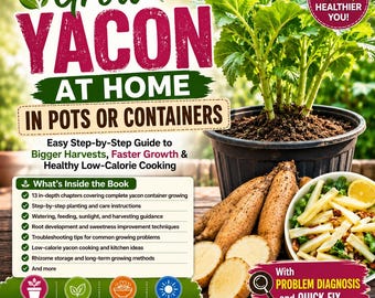 Grow Yacon at Home in Pots or Containers: Easy Step-by-Step Guide to Bigger Yacon Harvests, Faster Growth & Healthy Low-Calorie Cooking