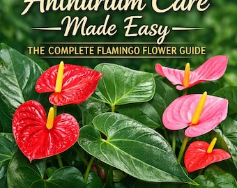 Anthurium-Pflege leicht gemacht - Der vollständige Flamingo-Blumen-Leitfaden für gesunde Blätter und lang anhaltende Blüten - druckbare PDF + Diagramme