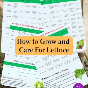 May include: A4 size printable guide titled "How to Grow and Care For Lettuce." The guide includes information on companion planting, pest identification, and a planting calendar. The guide also has a section on plants to avoid with lettuce.