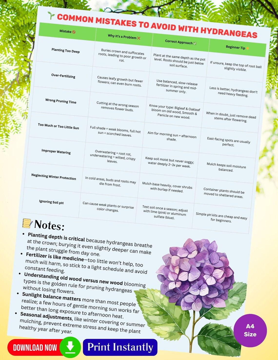 Printable Hydrangeas Plant Care Guide Chart – How to Grow and Care for ...