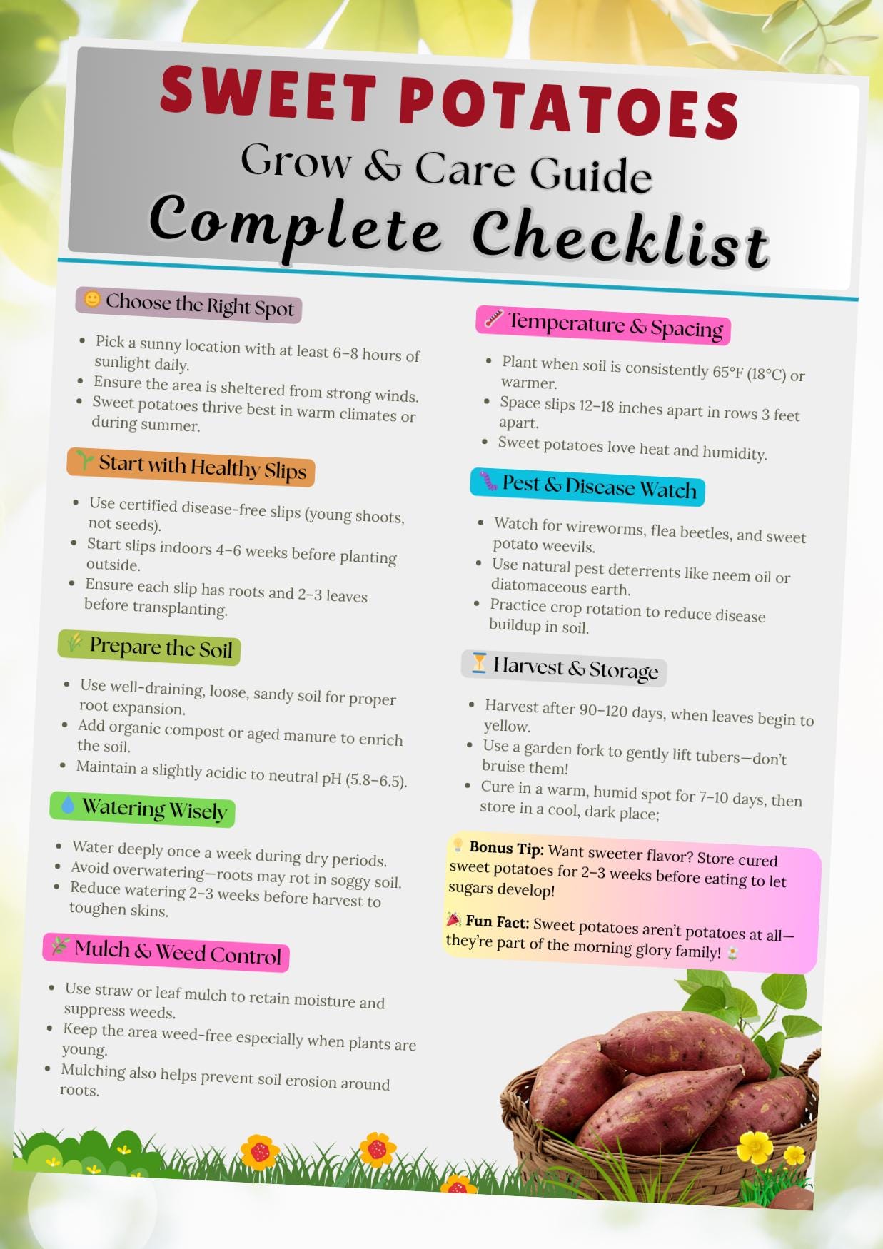Printable Ultimate Potato Guide.pdf Sweet Potatoes Care Guide – How to Grow and Care for Sweet Potatoes ...