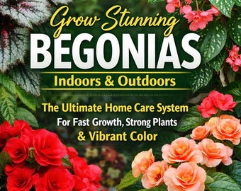 Grow Stunning Begonias Indoors & Outdoors | Ultimate Home Care System For Begonia PDF | Fast Growth and Strong   Houseplant Care