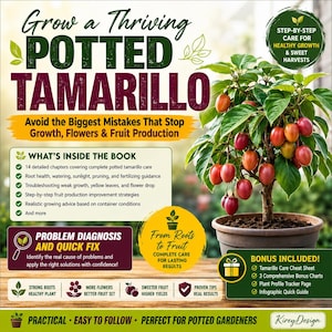 Può includere: Annuncio pubblicitario per un libro sulla coltivazione del tamarillo in vaso. L'immagine presenta una pianta di tamarillo in vaso con frutti rossi e arancioni. Il testo include "Grow a Thriving Potted Tamarillo" e "Evita i più grandi errori che bloccano la crescita, i fiori e la produzione di frutta."