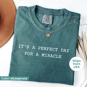 IVF Mom and Dad Gift Comfort Colors® Shirt, Transfer Day It&#39;s A Perfect Day for A Miracle Shirt for Couples , Ivf Strong Matching Tee