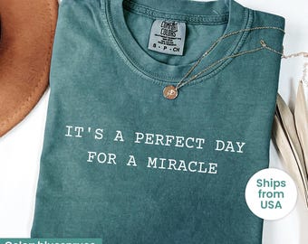 IVF Mom and Dad Gift Comfort Colors® Shirt, Transfer Day It's A Perfect Day for A Miracle Shirt for Couples , Ivf Strong Matching Tee