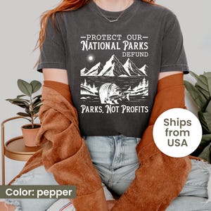 Comfort Colors Protect Our National Parks Shirt, US National Park Gifts, Vintage National Parks Shirt, Park Lover Shirt, Nature Lover Gift