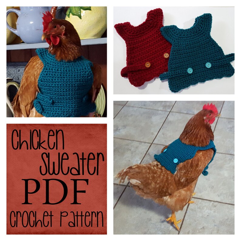 Chicken Sweater Crochet Pattern
