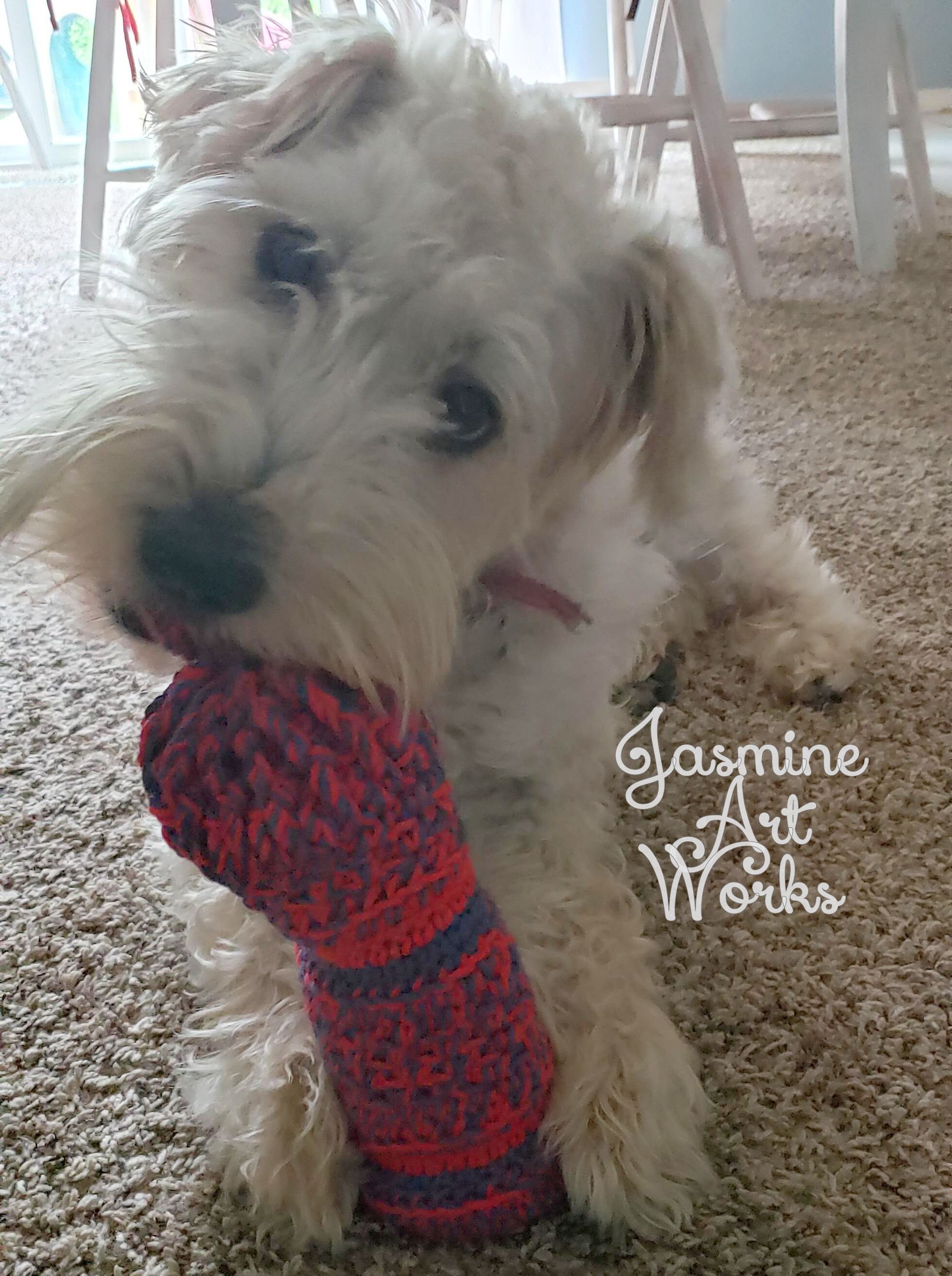 Dog Toy Water Bottle Crochet Pattern Etsy