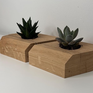 Könnte beinhalten: Zwei Holz-Pflanzkästen mit geometrischem Design, jeder mit einer anderen Sukkulentenpflanze. Die Pflanzkästen sind aus hellbraunem Holz gefertigt und haben eine natürliche Oberfläche.