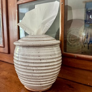 May include: A round, off-white ceramic tissue holder with a ribbed, textured surface and dark brown speckles throughout. The container features a matching removable lid with a central opening, from which a single white facial tissue is protruding.