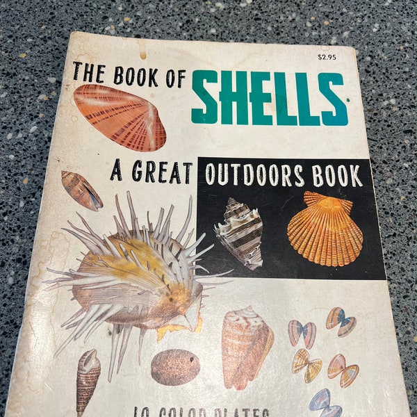 1965 The Book of Shells A great outdoors book 10 color plates great vintage book paperback