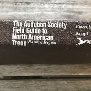 Könnte beinhalten: Ein braunes Buch mit dem Titel "The Audubon Society Field Guide to North American Trees Eastern Region". Das Cover zeigt weißen Text und eine weiße Illustration eines laufenden Hundes. Der Autor ist Elbert L. Little.