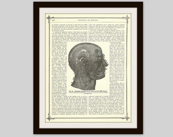 1905 Facial Nerves Print, Original Antique Print, Human Anatomy Print, Medical Illustration, Doctor Office Decor, Neurology, Otolaryngology