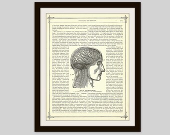 1905 Brain Print, Original Antique Print, Human Anatomy Print, Medical Illustration, Human Brain Wall Art, Doctors Office Decor, Neurology