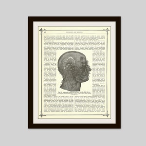 1905 Facial Nerves Print, Original Antique Print, Human Anatomy Print, Medical Illustration, Doctor Office Decor, Neurology, Otolaryngology