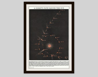1952 Astronomy Print, Original Vintage Print, A Comet's Path Around The Sun