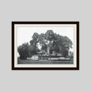 1912 Chinese Temple Print, Namu Trees, Kuan Hsien Szechuan China, Yangtze River Gorge Print, Original Black and White Photo Print