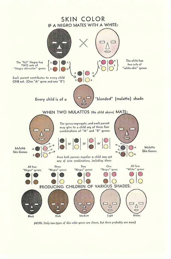 Genetics Behind Skin Color