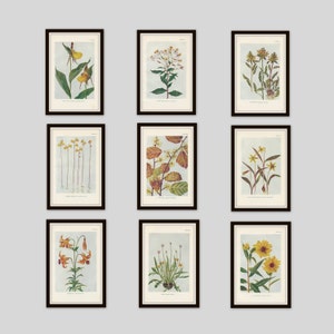 May include: Nine framed botanical prints featuring various flowers and plants. The prints are in black frames with a white mat and are arranged in a grid pattern.
